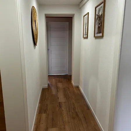 Snow Nest: Superbe Cocon Enneige