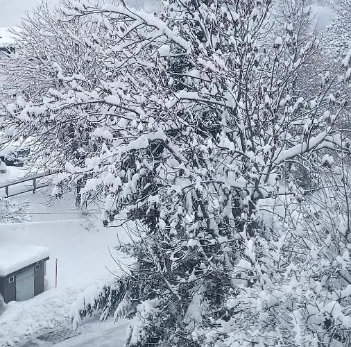 Apartament Snow Nest: Superbe Cocon Enneige