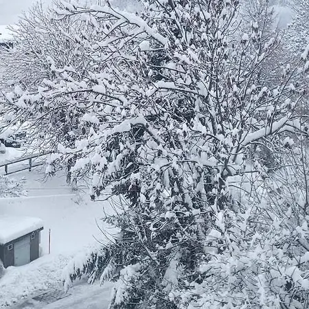 Appartement Snow Nest: Superbe Cocon Enneige